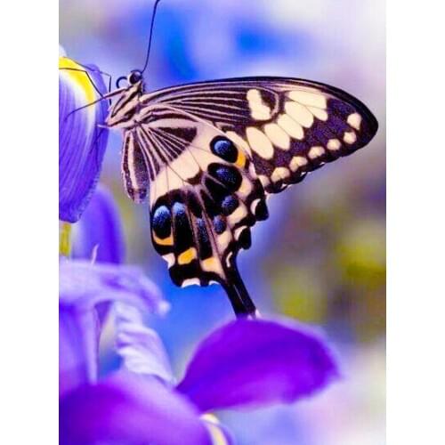 3D DIY Diamond Painting Chinese Cross Stitch Butterfly Picture Mosaic Kit Diamond Embroidery Hobbies And Crafts Needlework