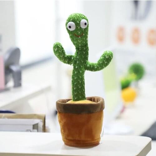 Dancingcactus' vibrato with the same dancing cactus enchanting flower cactus twisting music song