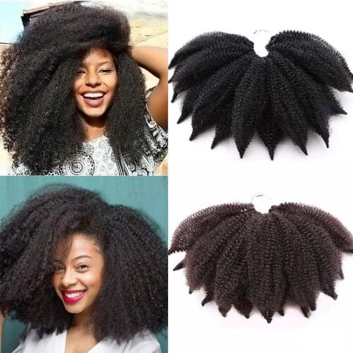 Short Soft Afro Kinky Marley Braids Hair 8inch Fluffy Curl Twist Crochet Braid Hair Yaki Curl Crochet Synthetic Braiding Hair