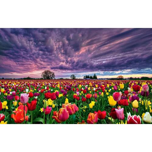 MM 14/16/18/28 CROSS STITCH Full Round Drill 5D DIY Diamond Painting " L5354 Huahai Scenery 3D Embroidery Cross Stitch