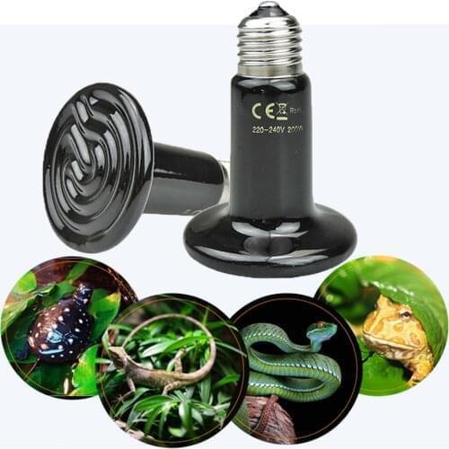 Lamp for turtle ceramic heating heated heat lamp reptile pet reptiles pets products heater supplies tortugas brooder heaters