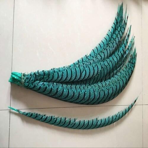 EMS Free Shipping 50pcs Mint Green Dyed 30-35inch 80-90cm Dyed pheasant tail feather Lady amherst tails Pheasant feather
