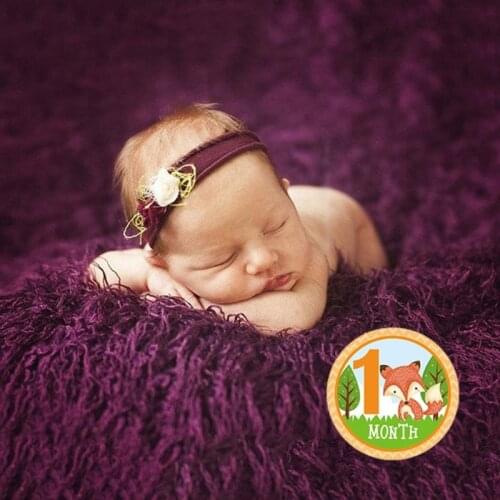 HX5D 12 Pcs/Set Cartoon Animal Baby Monthly Stickers Photography Milestone Memorial Month Stickers Newborn Kids Commemorative