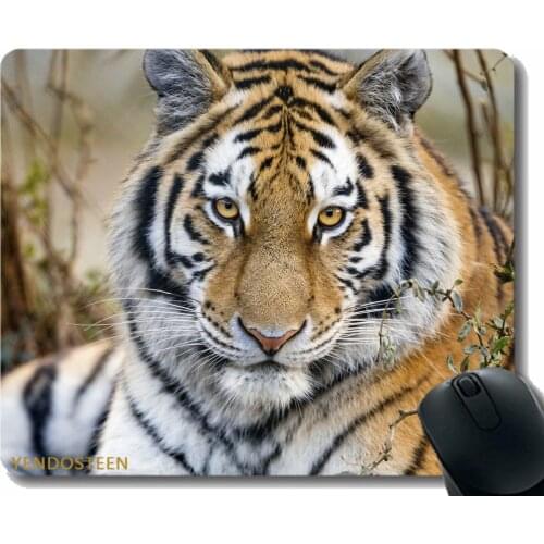 Mouse Pad Funny Customized,Tiger Predator Muzzle 187326 Mouse Pads With Stitched Edges