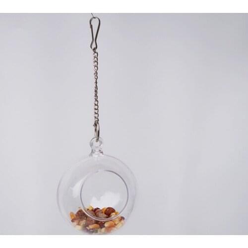 Parrot Bird Food Container Feeder Box Basin Support IQ Toys