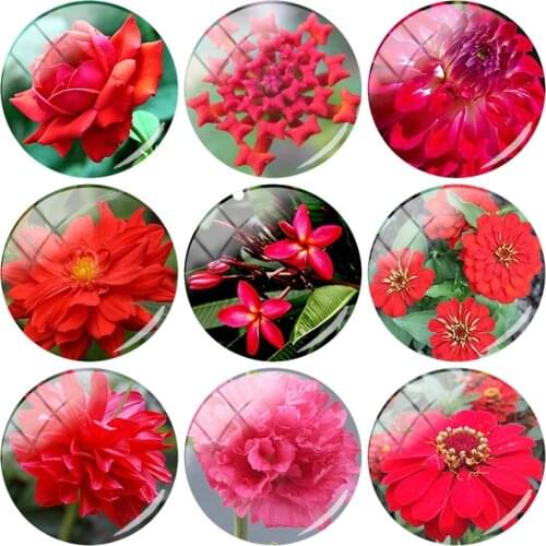 TAFREE New Flowers 12mm/15mm/16mm/18mm/20mm/25 mm Red Photos Glass Cabochons Dome Flat Back DIY Jewelry Findings Making FL339