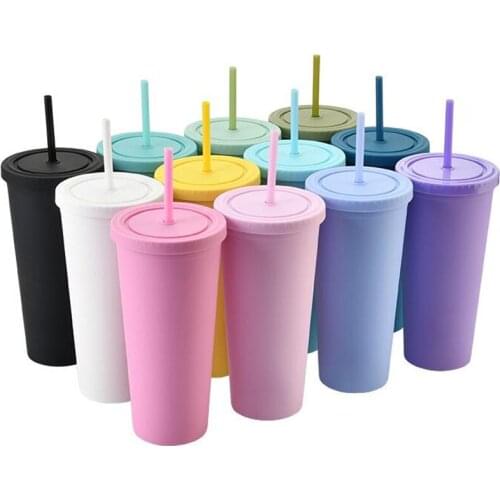 4pcs/lot 22oz Sippy Cup Tumbler Acrylic Cups Double Wall Insulated Matte Plastic Tumbler With Straws Customizable DIY Gifts