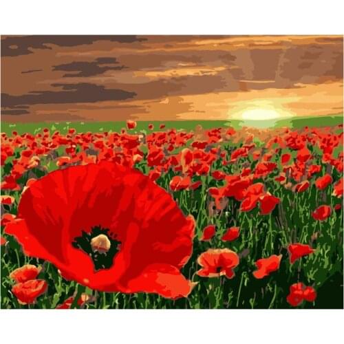Painting By Number DIY Dropshipping big size Fresh red poppy under dusk Flower Canvas Room Decoration Art picture Child Gift