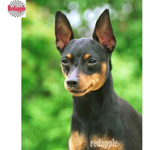 5d animal miniature pinscher dog diamond painting Cross Stitch Kits diy diamond mosaic full Square drill Home Decor painting