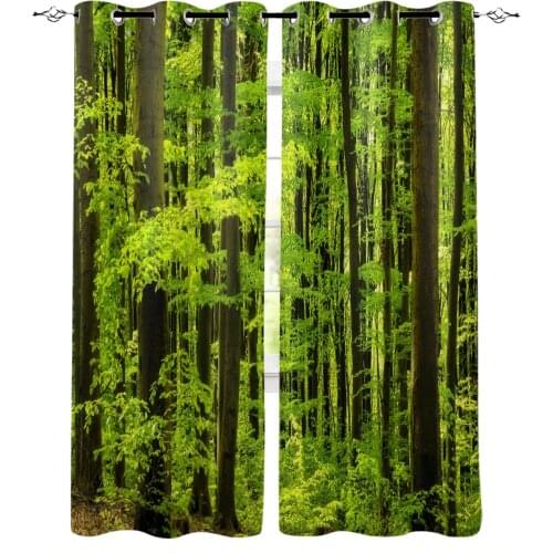 Forest Green Landscape Curtains In The Living Room Kitchen Bedroom Interior Decor Curtain Window Room Divider Home Decoration