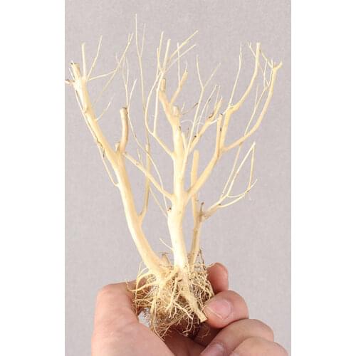 Arid Use Crabs Underwater Freshwater Small Aquarium Driftwood Turtles Terrarium Environments Reptiles Fish Tanks Snakes