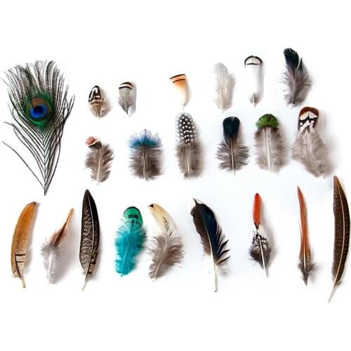 Wholesale Natural Peacock Pheasant Feathers for Crafts Jewelry Making Headdress Small Plumes Decoration Fly Tying Material