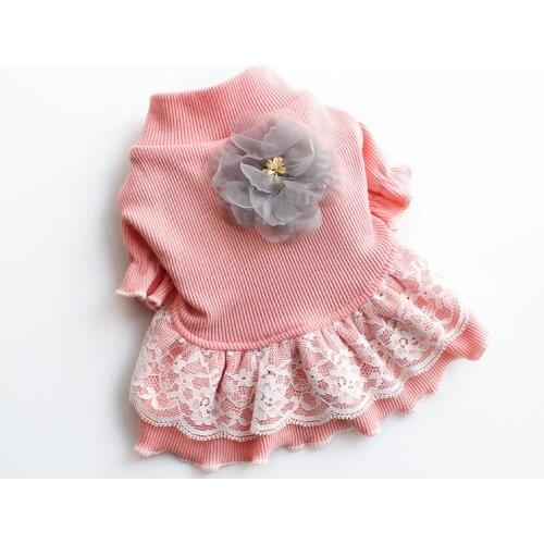 Autumn Winter Dog Dress Cute Girl Dog Clothes Cat Yorkshire Pomeranian Poodle Bichon Schnauzer Costume Pet Clothing Outfit Skirt