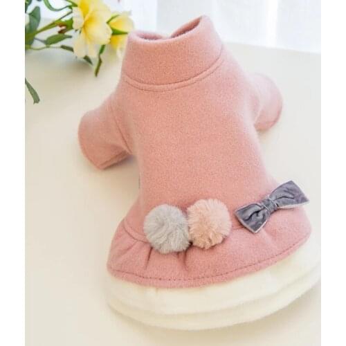 Winter Dog Dress Warm Pet Coat Outfit Cat Yorkshire Puppy Yorkie Pomeranian Clothing Princess Skirt Poodle Schnauzer Dog Clothes