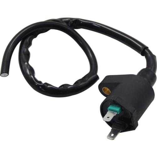 Motorcycle High Voltage Coil For Honda TRX250 TRX250TE TRX250TM TRX250EX TRX200 TRX200D TRX300FW TRX400EX TRX450R 30510-GR2-405