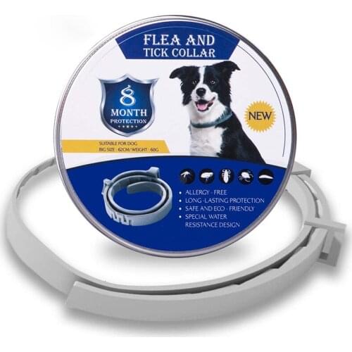Pet Dog Cat Anti Flea Collar 8 Month Protection Flea and Tick Collar Adjustable Waterproof for Dog Puppy Kitten Cats