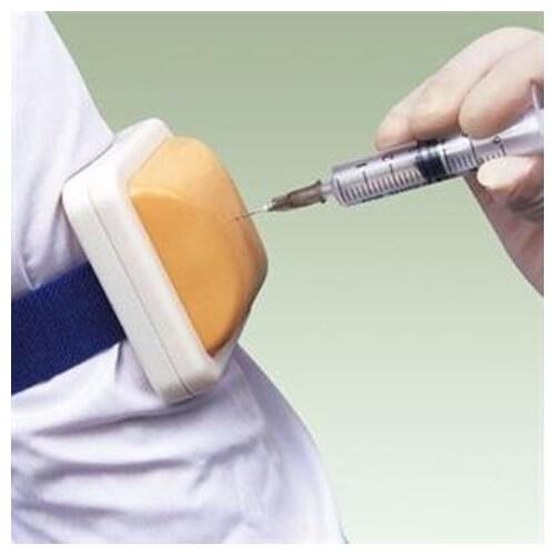 Human muscle injection module medical vocational education training model