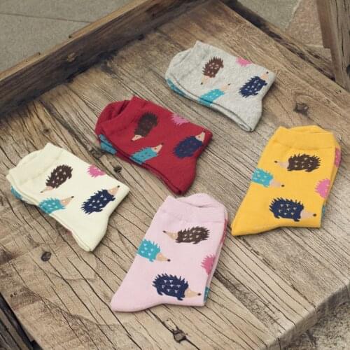 New Cartoon Hedgehog Pattern Woman Socks Cotton for Spring Summer Harajuku Style Funny Socks Women 41102