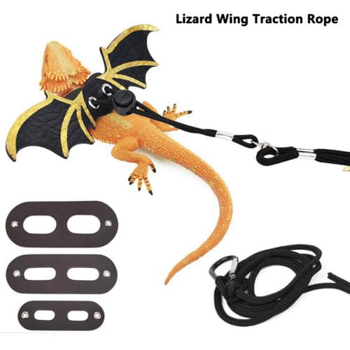 Largest supplier Adjustable Lizard Bearded Dragon Reptile Critter Leash Harness Wings for S/M/L