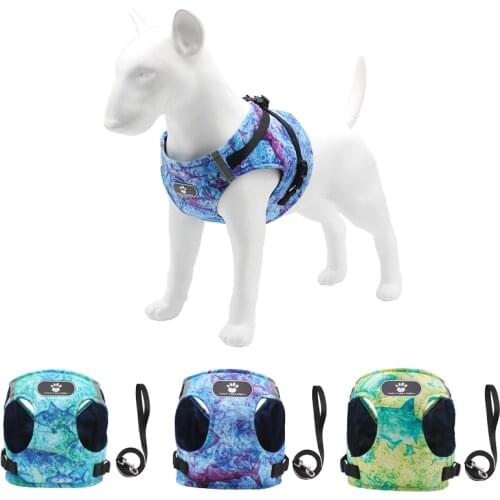 Safety Dog Harness Vest Collar with Leash Set Pet Walking Harness Adjustable Cat Reflective for Puppy Small Medium Large Dog