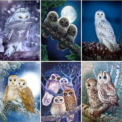 DIY Owl 5D Diamond Painting Full Round Drill Birds Diamond Embroidery Cross Stitch Rhinestones Wall Art Home Decor