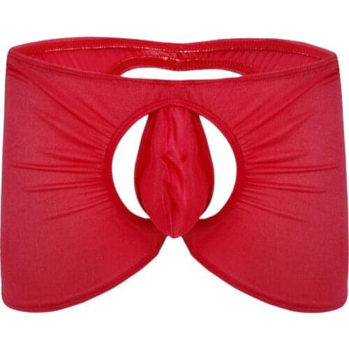 Sexy Male Boxer Briefs Underwear Trunk Sheer Crotchless Backless G-String Combo Lingerie Set See Through Underpants