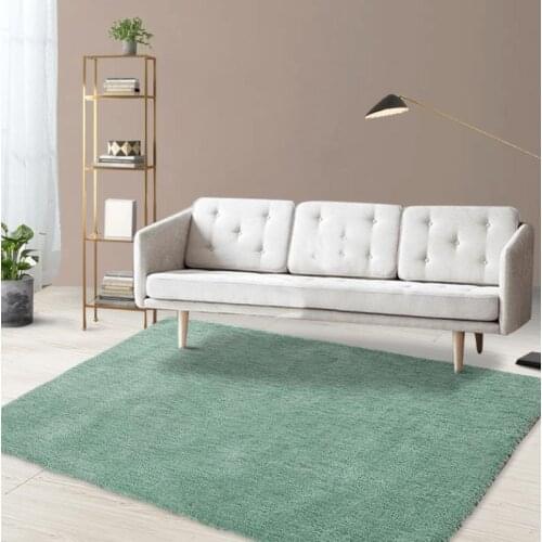 Large Area Fluffy Carpet Rectangle Solid Rectangle Thicken Non-slip Water Absorption Colorfast Living Room Bedside Quality Rugs