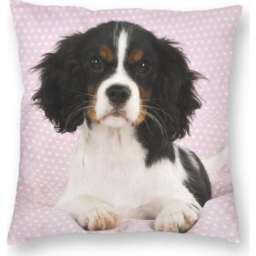 Cute Cavalier King Charles Spaniel Dog Cushion Cover Sofa Decoration Animal Pet Puppy Square Throw Pillow Cover 40x40cm