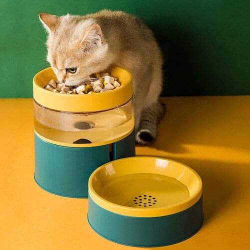 2021 Pet Cat Bowl Automatic Feeder Dog Cat Food Bowl With Water Fountain Double Layer Drinking Raised Stand Dish Bowls For Cats