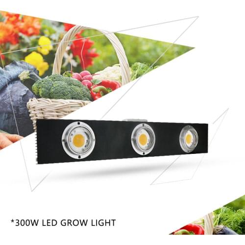 YXO YUXINOU LED Panels