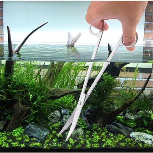3PCS Fish Tank Scissors Waterweed Scissor Aquarium Tweezers Tools Stainless Steel Aquatic Plants Shears Aquarium Maintenance Set