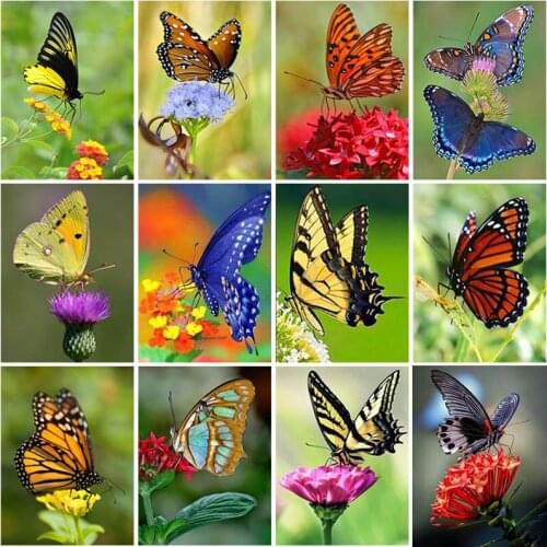 DIY Butterfly 5D Diamond Painting Cross Stitch Embroidery Mosaic Full Square Drill Handcraft Gift Home Decor Wall Art Gift