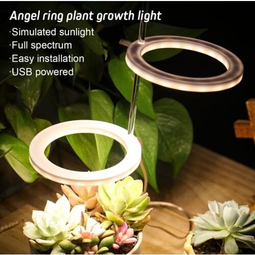 Parkone Professional Lighting