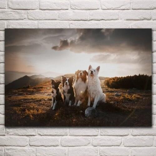 Full square 5D Diamond painting Animal dog DIY Diamond embroidery landscape mosaic Rhinestone Cross stitch Home decor gift P635