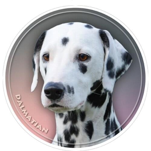 S30311# 13CM/17CM PVC Decal Dalmatian Dog Car Sticker Waterproof Auto Decors for Bumper Rear Window Laptop