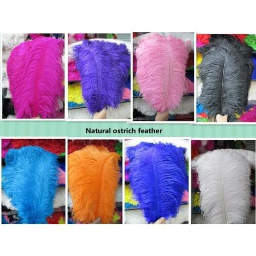 Wholesale 50PCS/LOT Quality Natural OSTRICH FEATHERS 30 -35 cm 12-14 inches Color Selection FREESHIPPING