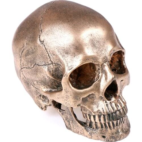 Bronze Resin Skull Model Painting Model Medical teaching tool Halloween Home Decoration