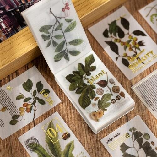Creative Vintage Plant illustrated Writing Note Plants Flowers Memo Pads Transparent Sulphuric Acid Paper Loose Leaf Paper Notes