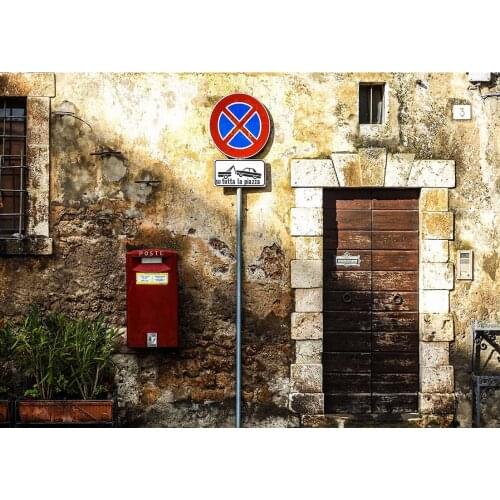 Vintage Brick Wall Red Mailbox Wooden Door Potted Photo Backdrops Vinyl Background for Children Baby Lovers Photography Props
