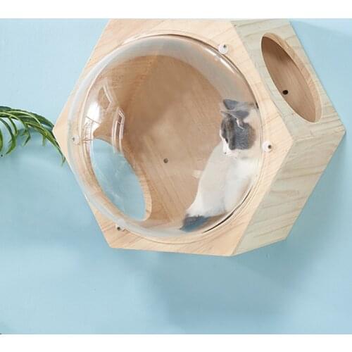 Leewince Pet Supplies