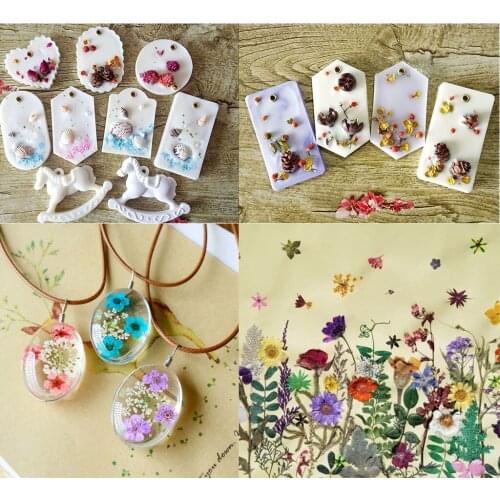 12 Pieces Natural Dried Leaves Pressed Plant Green Leaf for DIY Scrapbooking Arts Crafts Bookmark Card Making Accessories