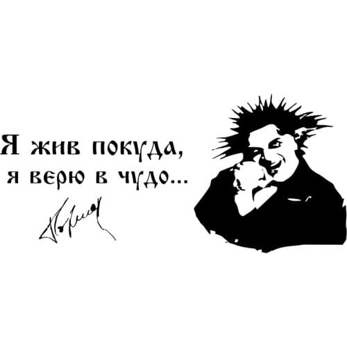 CK2447#24*11cm The king and the jester funny car sticker vinyl decal silver/black car auto stickers for car bumper window