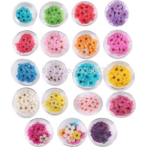 Dried Flowers Nail Art Decoration DIY 3D Dry Flower Silce Sticeker Gel for UV Gel Acrylic Nail Art Tips