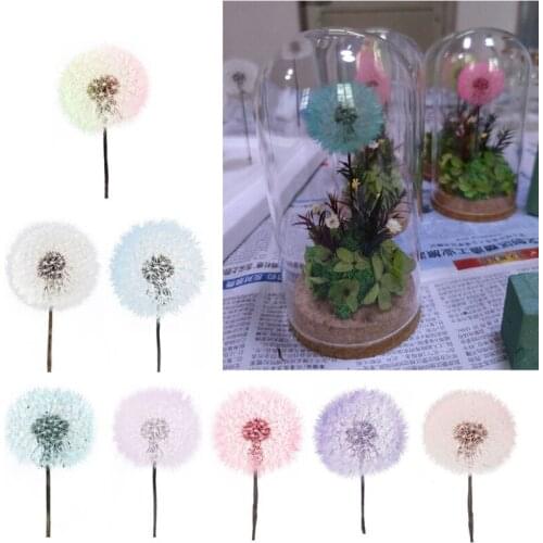 Pcs Crystal Epoxy Filler Dandelion Dry Flower Resin Mold Filling Material for DIY Crafts Art Jewelry Making Supplies