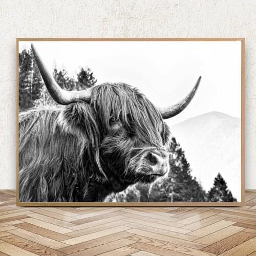 5DDiy diamond embroidery Highland cow Black white art diamond painting rhinestone mosaic diamond full square round stickerZP-050