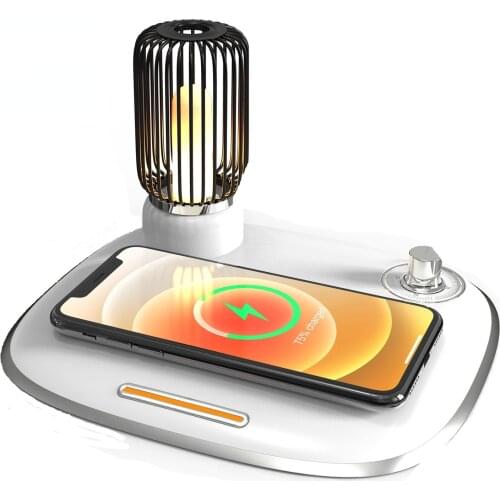 FUNFOR LED Holiday Light Bulbs