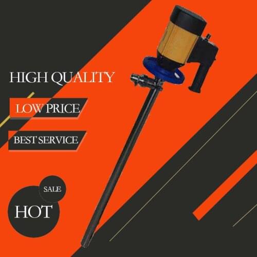 Chemical SS304 Material with Antidrop Speed control Motor Electric Oil Drum Pump / Electric Barrel Pump