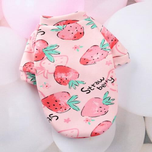 Cute Print Small Dog Hoodie Coat Winter Warm Pet Clothes for Chihuahua Shih Tzu Sweatshirt Puppy Cat Pullover Dogs Pets Clothing