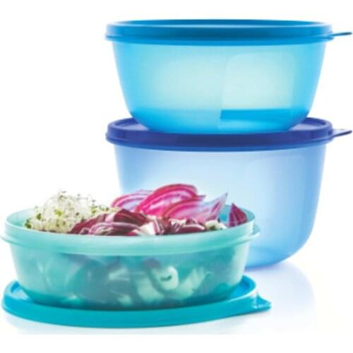 Tupperware Refrigerator Storage Container 600 ml pcs Set Set