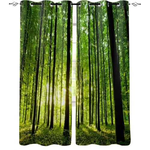 Green Forest Jolin Sunshine Plant Blackout Curtains For Living Room Bedroom Window Treatment Blinds Drapes Kitchen Curtains